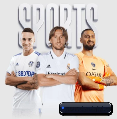 6686体育 APP 界面 | 6686Sports