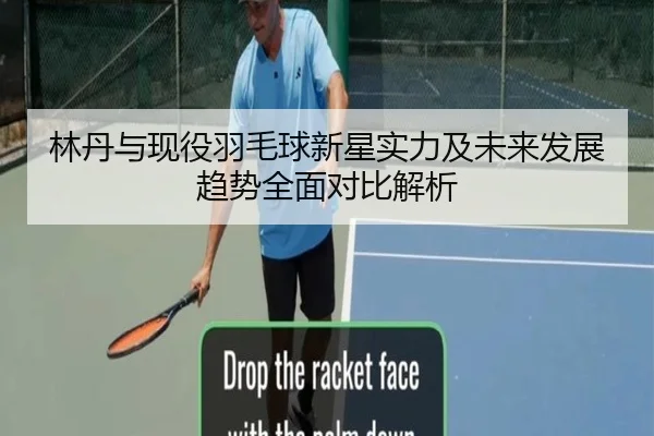 林丹与现役羽毛球新星实力及未来发展趋势全面对比解析